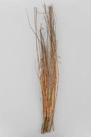 Acheter Direct 6 branches dorées